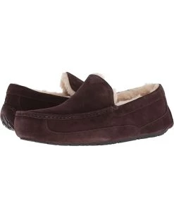 UGG Slippers Wide Ascot -UGG Shop 61yZemKliAS. AC SR736920