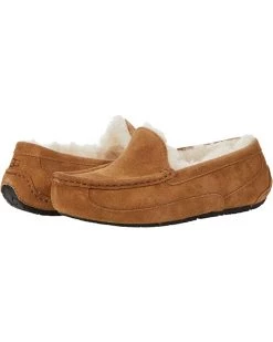 UGG Kids Slippers Ascot (Little Kid/Big Kid) -UGG Shop 714bcE6qyVL. AC SR736920