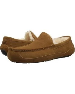 UGG Slippers Wide Ascot -UGG Shop 71qD7WBkUsS. AC SR736920