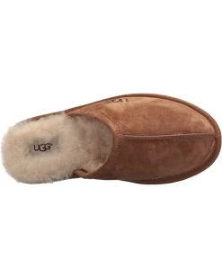 UGG Shop -UGG Shop 816dtiZzVHL. AC SR736920
