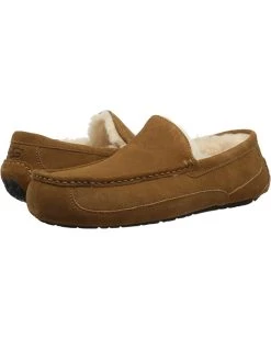 UGG Slippers Ascot -UGG Shop 81S2c6m1JVL. AC SR736920